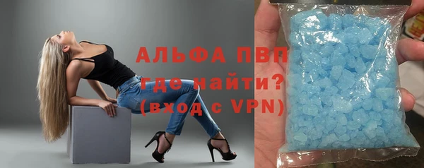 ГАЛЛЮЦИНОГЕННЫЕ ГРИБЫ Богданович