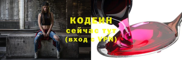 тгк Бородино