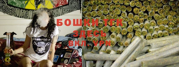 ГАЛЛЮЦИНОГЕННЫЕ ГРИБЫ Богданович