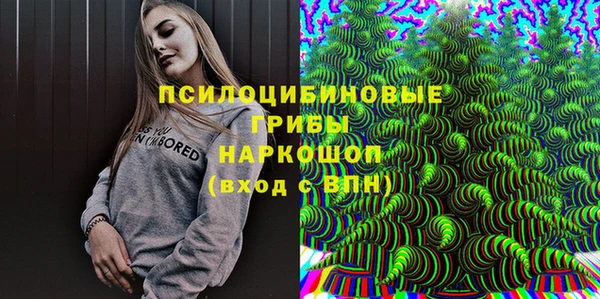 тгк Бородино