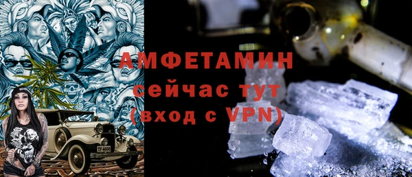 ГАЛЛЮЦИНОГЕННЫЕ ГРИБЫ Богданович