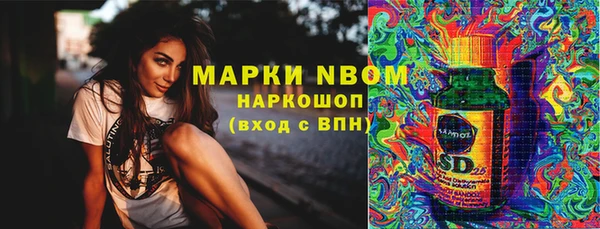ГАЛЛЮЦИНОГЕННЫЕ ГРИБЫ Богданович