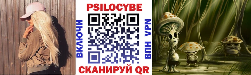 Псилоцибиновые грибы прущие грибы наркотики Ачхой-Мартан